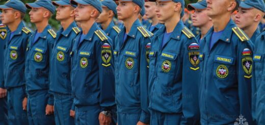 ВУЗы МЧС РФ, МЧС РФ